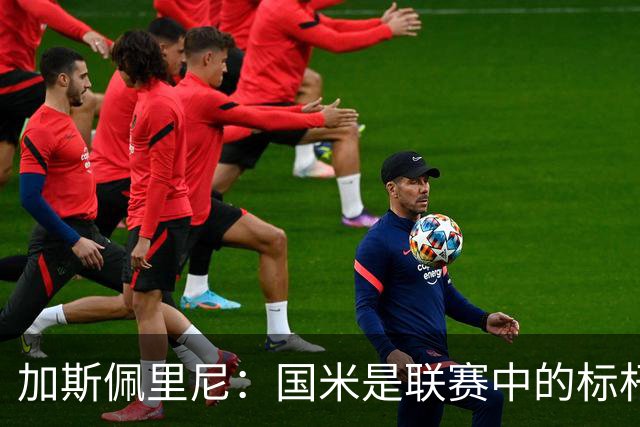 加斯佩里尼：国米是联赛中的标杆球队 明天我们全员均可出战
