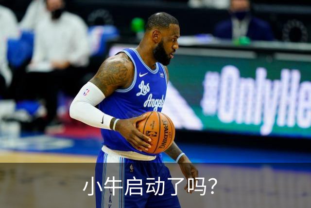 小牛启动了吗？